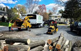 Best Tree Risk Assessment  in Bradley, WV