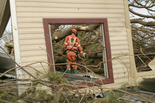 Best Commercial Tree Services  in Bradley, WV